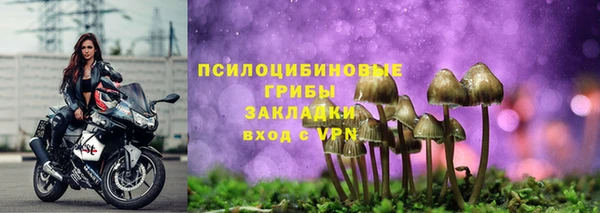 дживик Кукмор