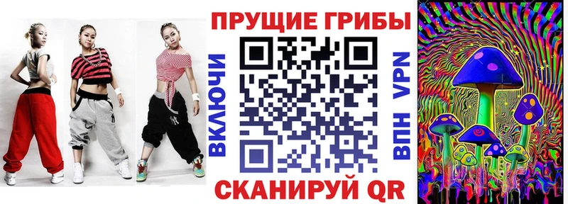 продажа наркотиков  Порхов  Галлюциногенные грибы прущие грибы 